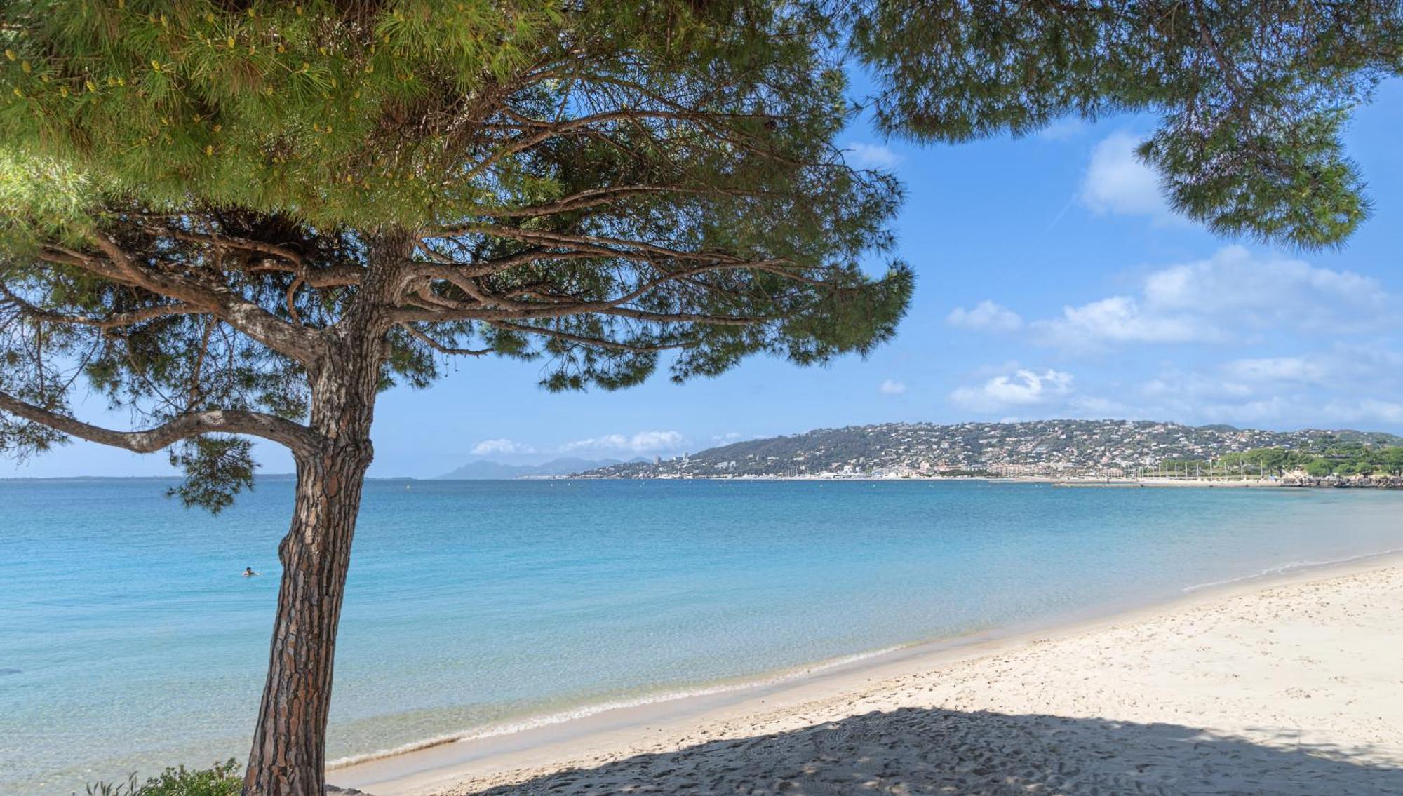 Les 15 Pins & La Mer -Your Green Getaway Near Sea & Beach Antibes Buitenkant foto