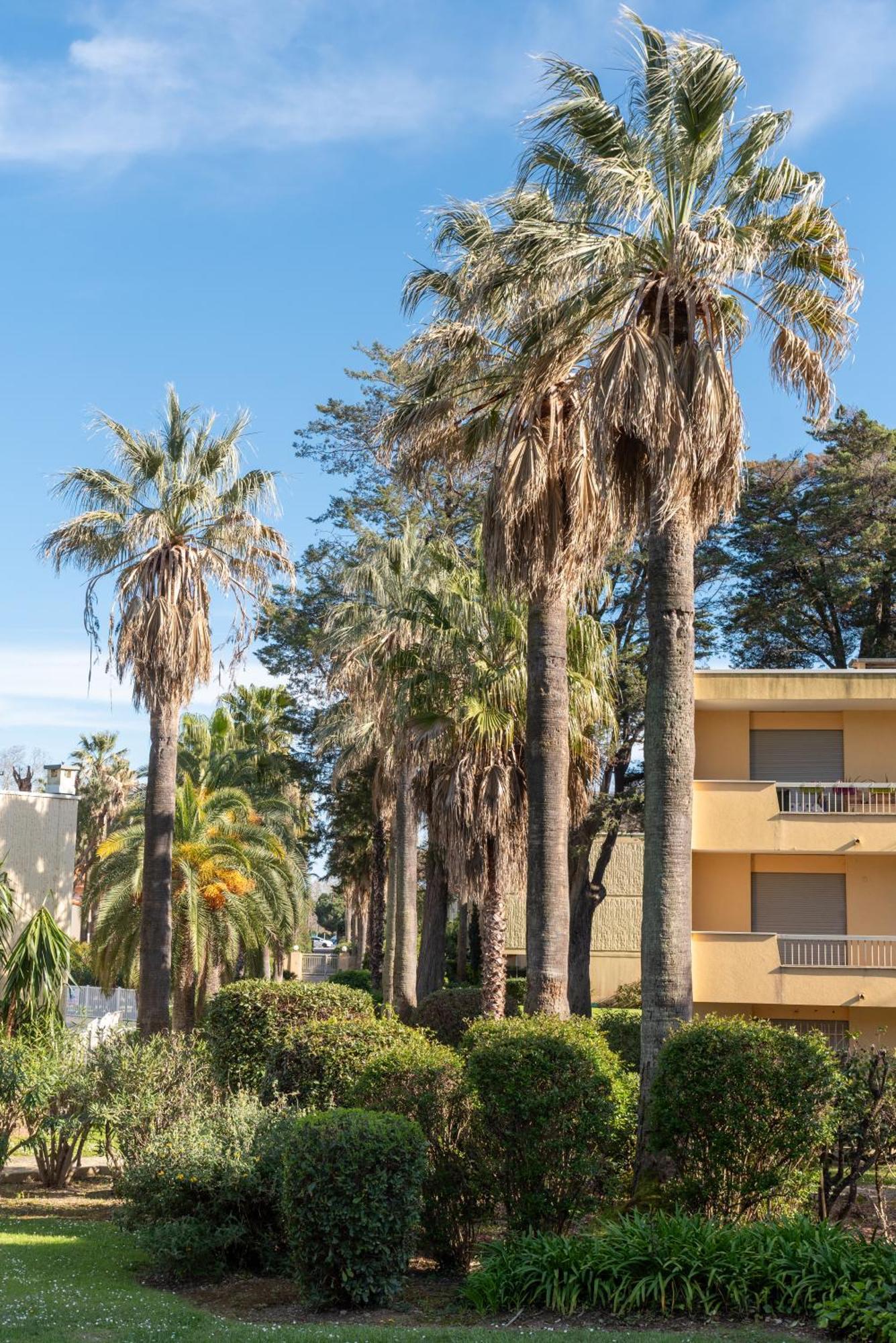 Les 15 Pins & La Mer -Your Green Getaway Near Sea & Beach Antibes Buitenkant foto
